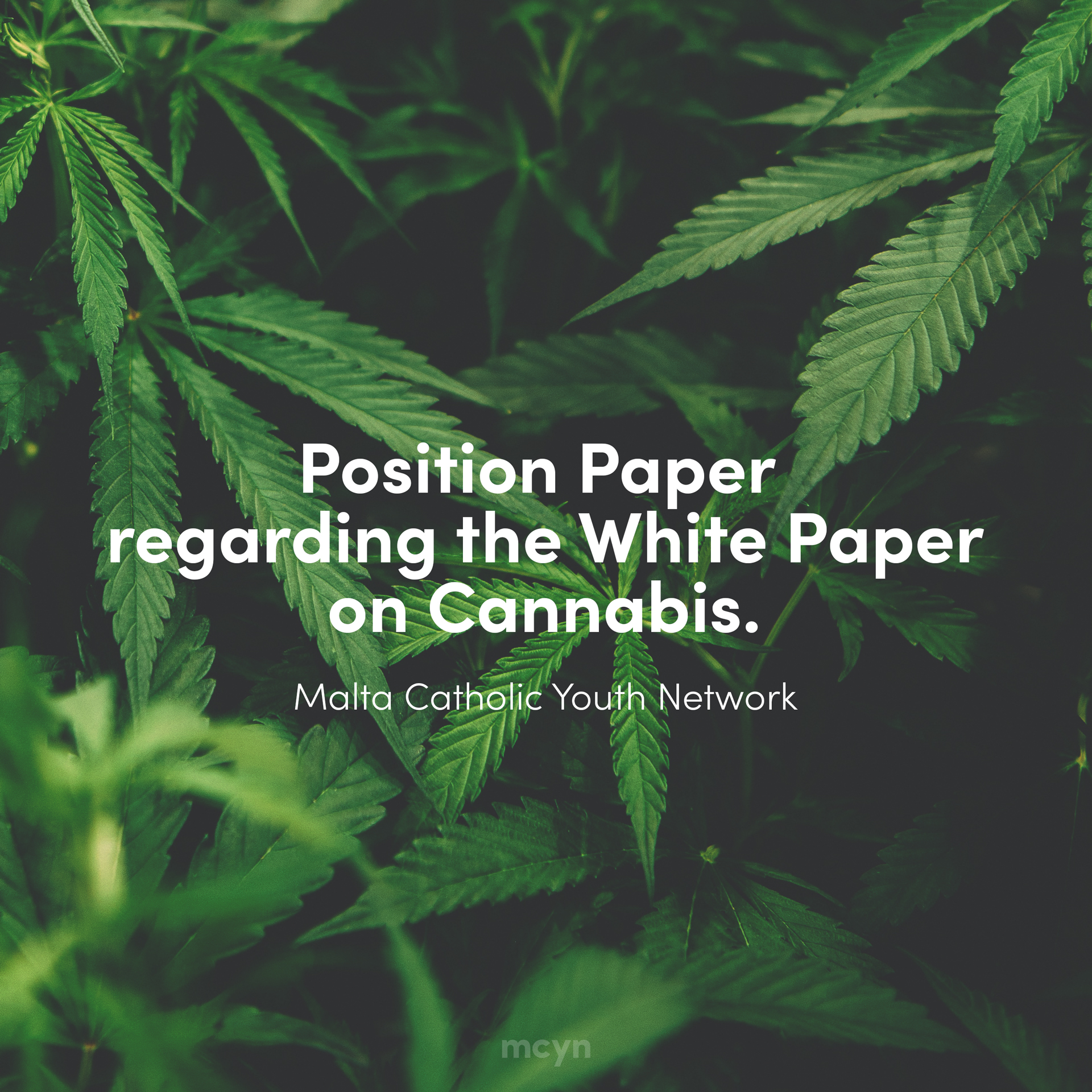 Position Paper Cannabis MCYN
