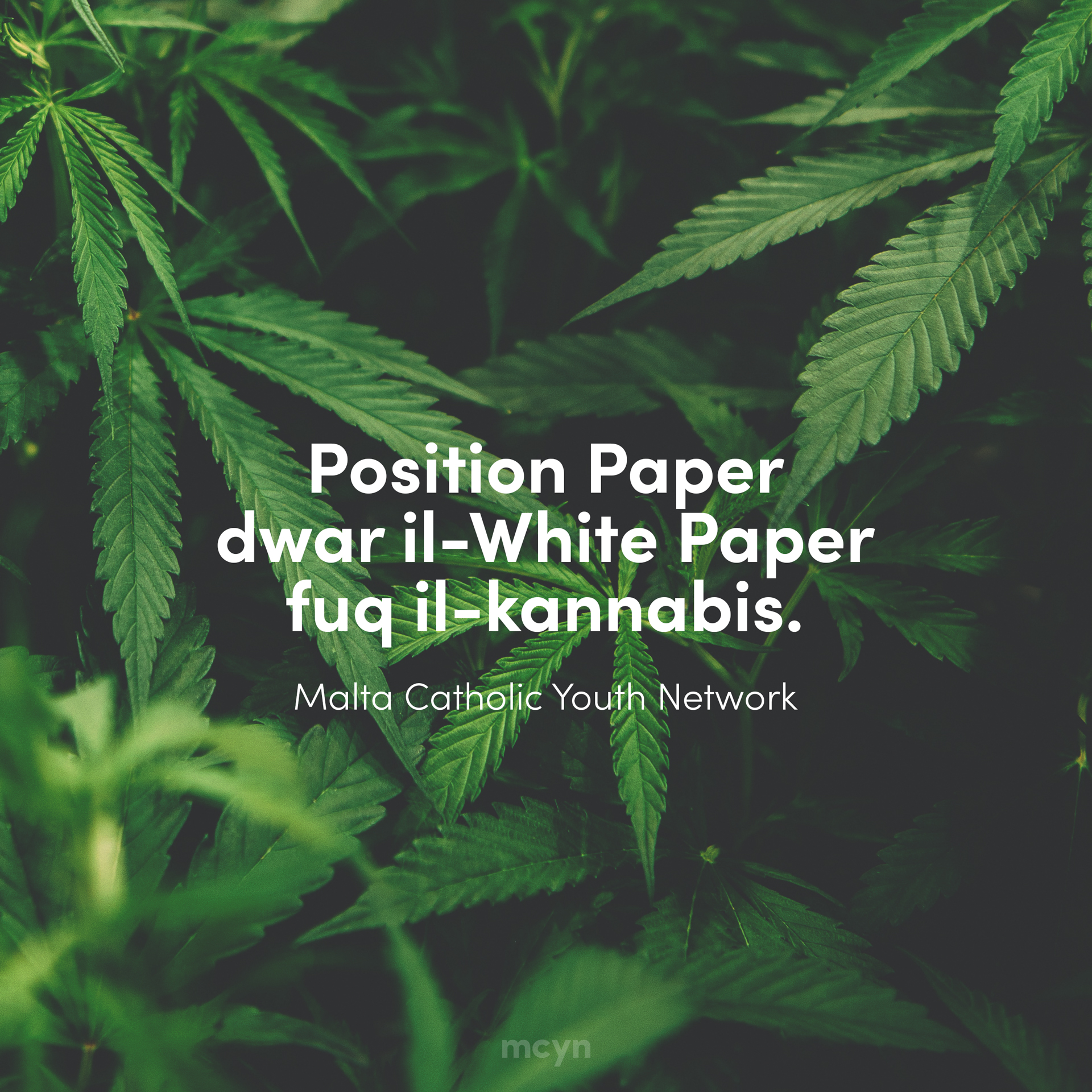 Position Paper Cannabis MCYN